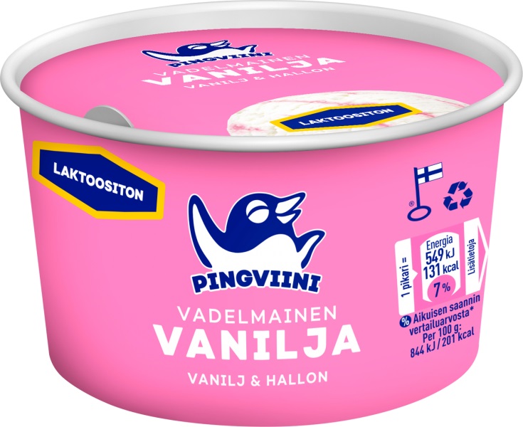 Vanilja-Vadelma jäätelöpikari L